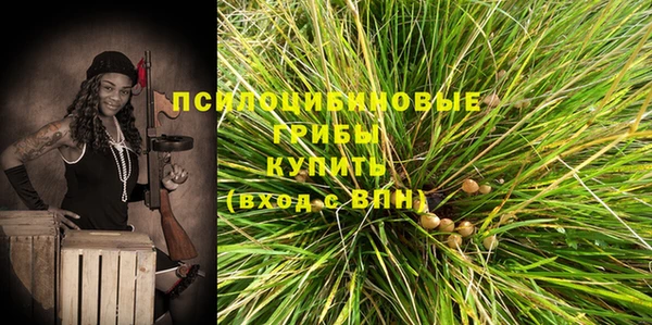 MESCALINE Переславль-Залесский