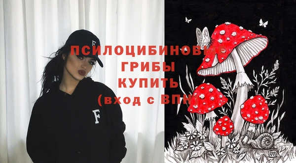 MESCALINE Переславль-Залесский