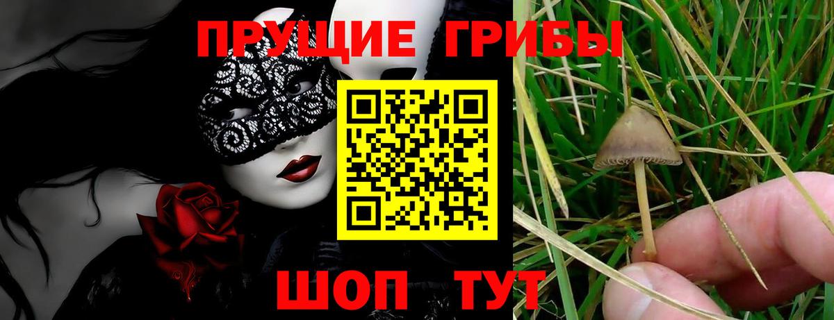 Галлюциногенные грибы ЛСД Бахчисарай